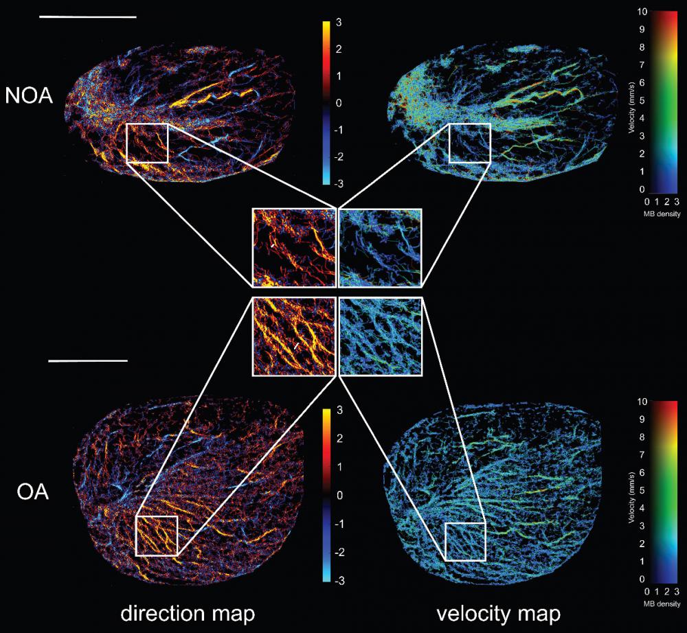 Theranostics Image