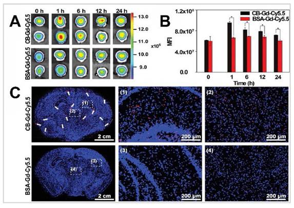 Theranostics Image