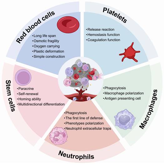 Theranostics Image