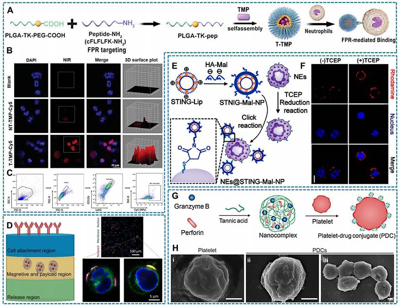 Theranostics Image