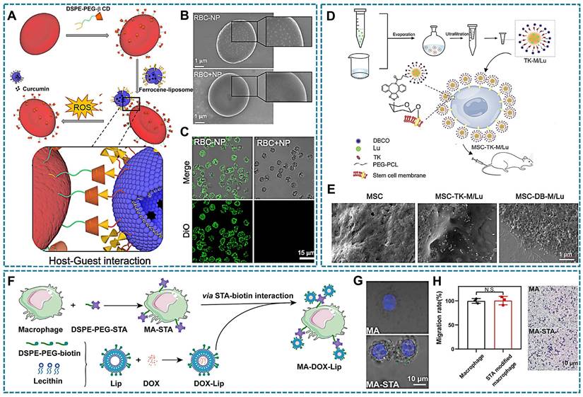 Theranostics Image