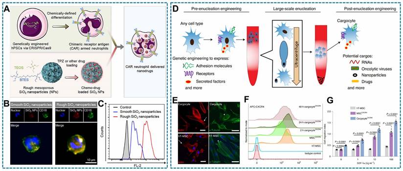 Theranostics Image