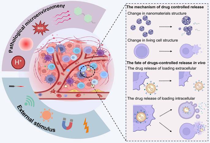 Theranostics Image