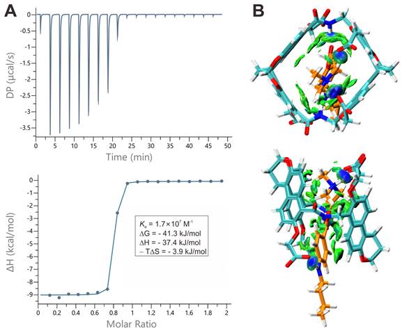 Theranostics Image