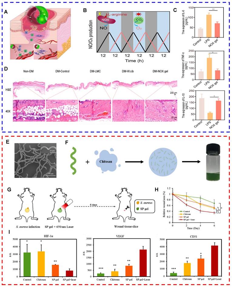 Theranostics Image