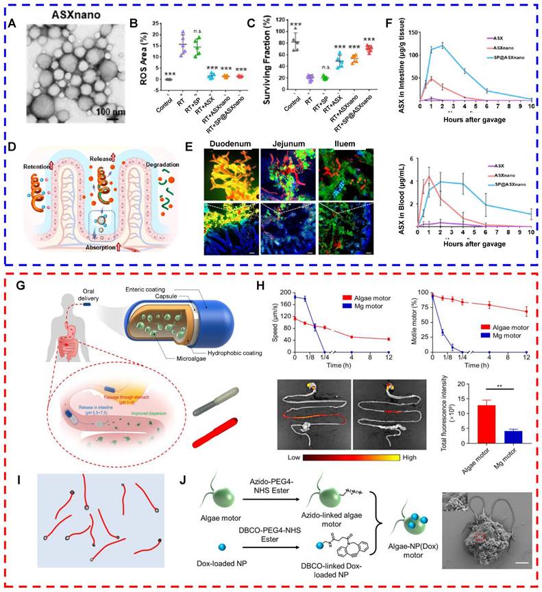 Theranostics Image