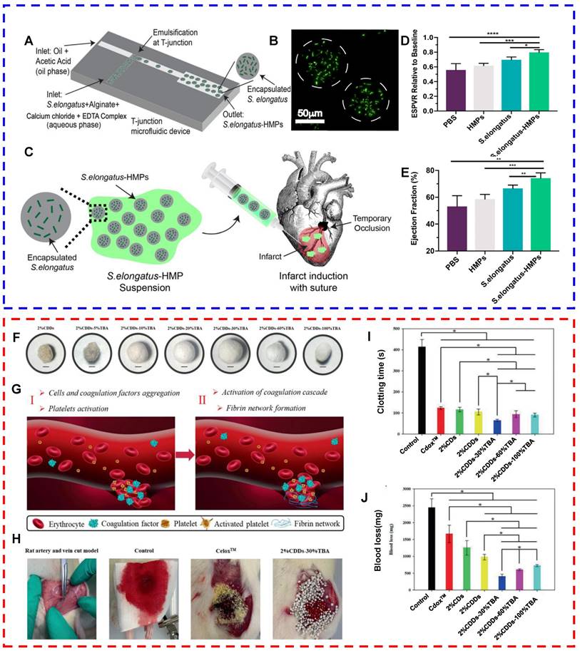 Theranostics Image