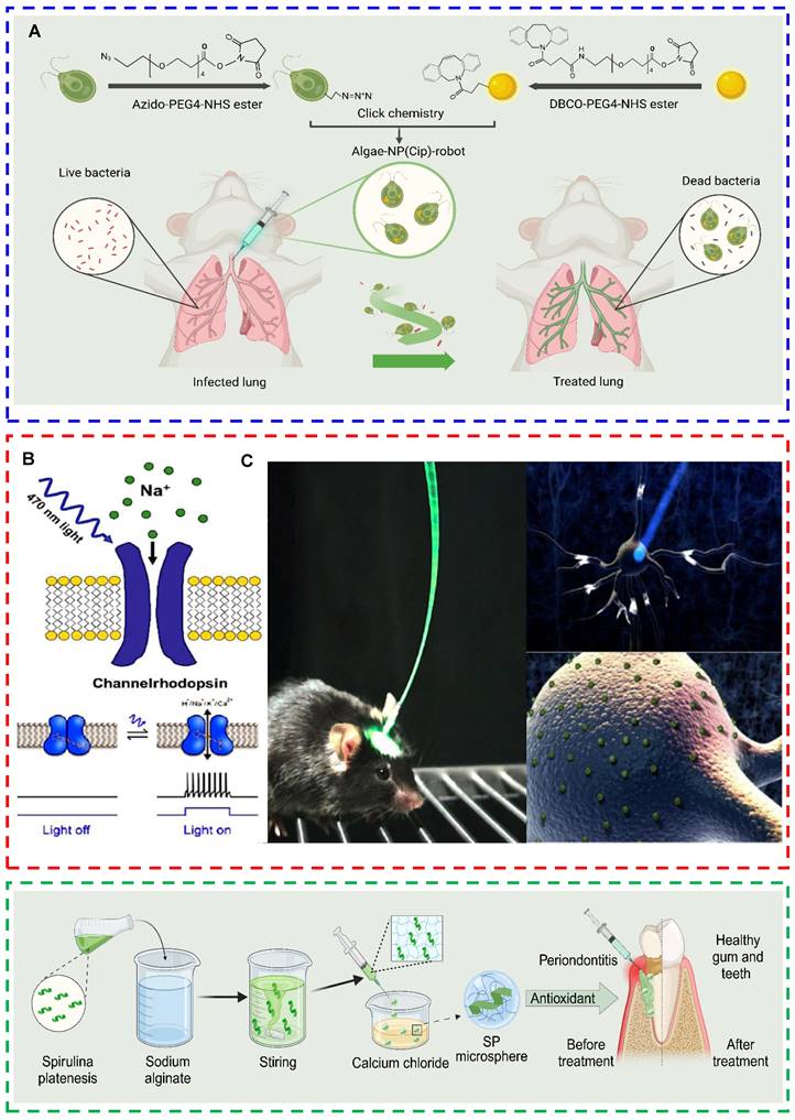 Theranostics Image