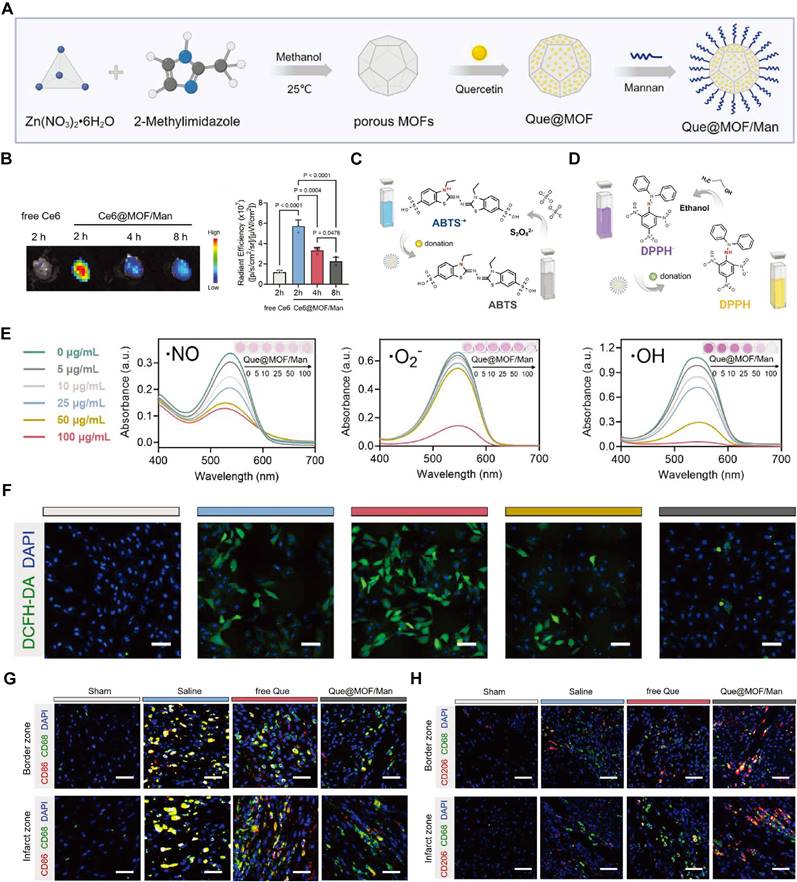 Theranostics Image