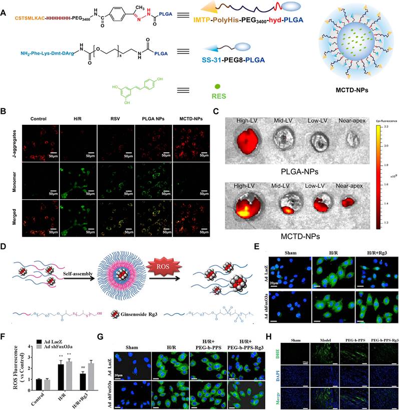 Theranostics Image