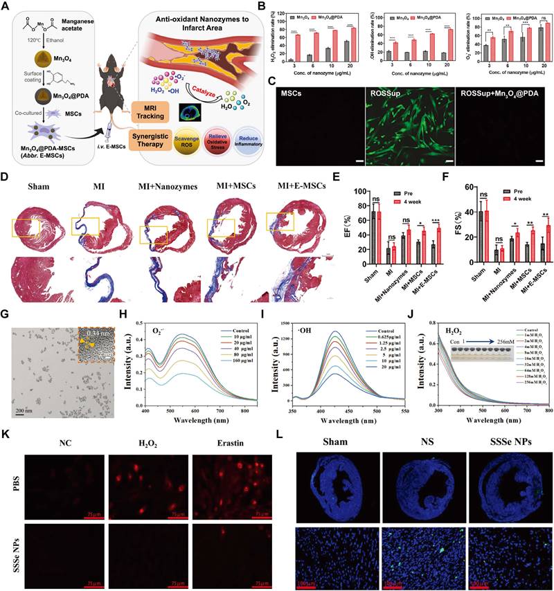 Theranostics Image