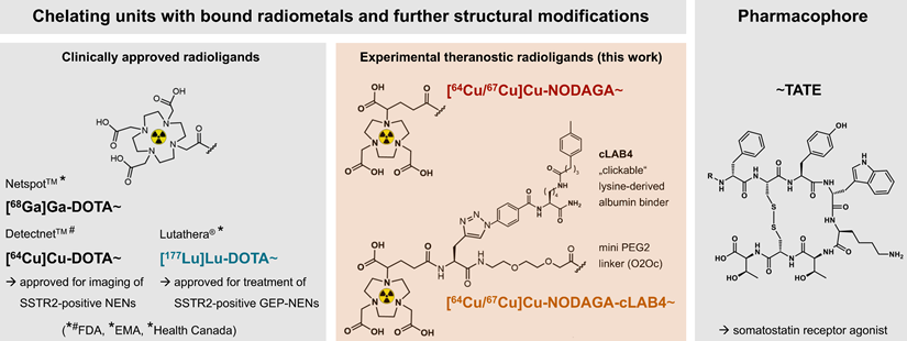 Theranostics Image