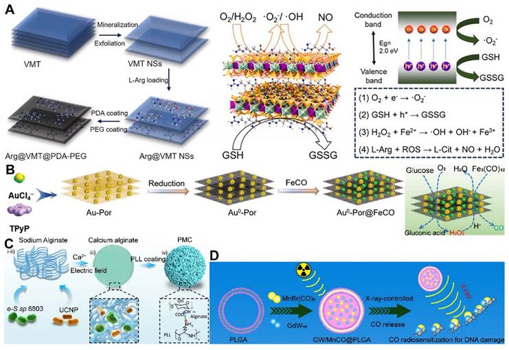 Theranostics Image