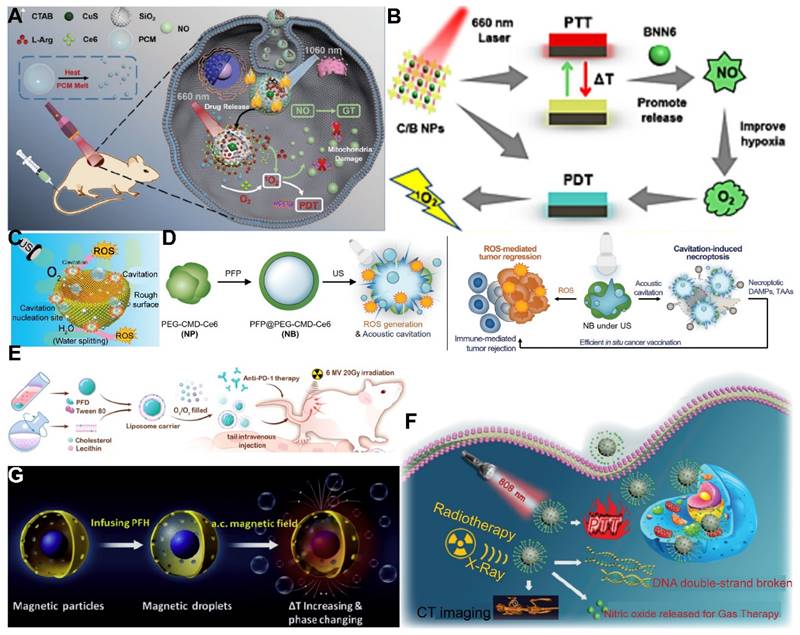 Theranostics Image