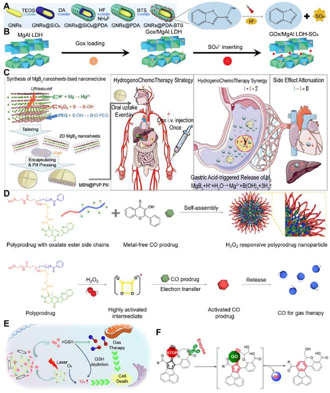 Theranostics Image