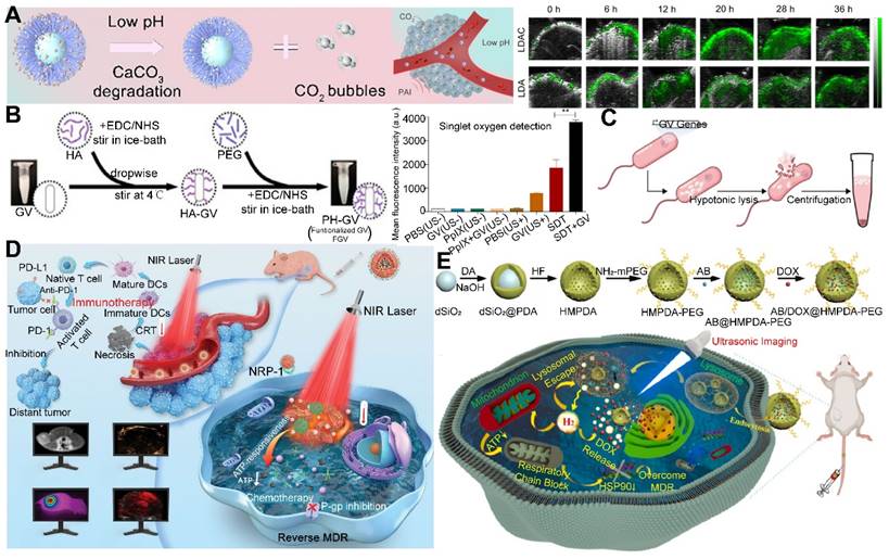 Theranostics Image