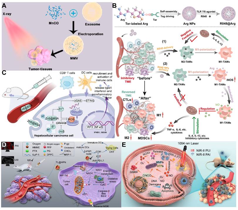 Theranostics Image