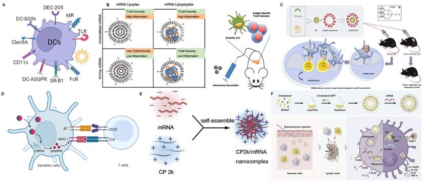 Theranostics Image