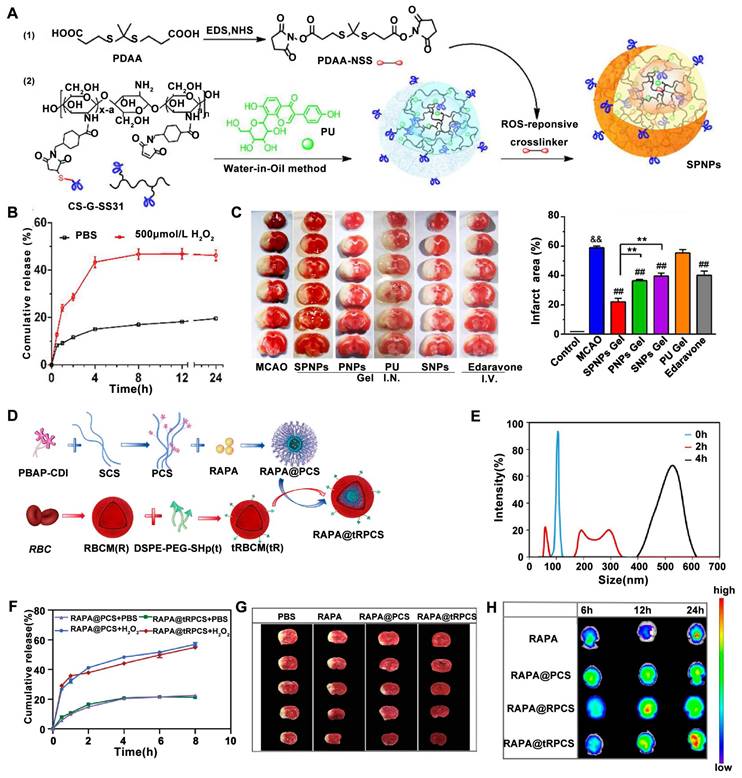 Theranostics Image