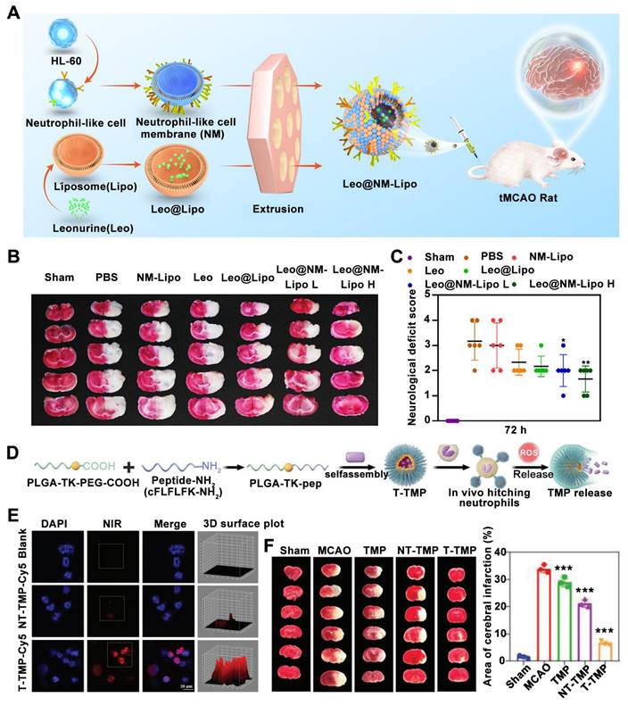 Theranostics Image