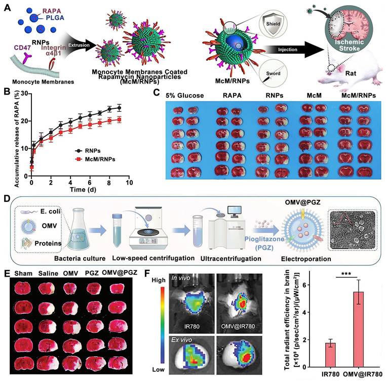 Theranostics Image