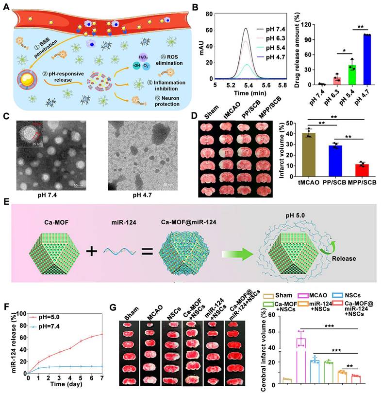 Theranostics Image