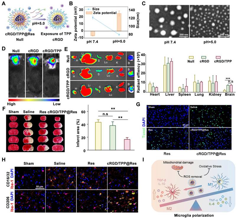 Theranostics Image