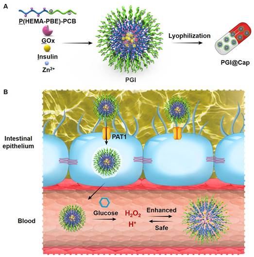 Theranostics Image