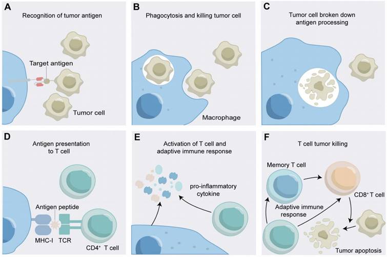 Theranostics Image