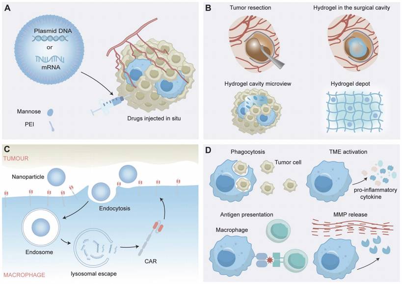 Theranostics Image