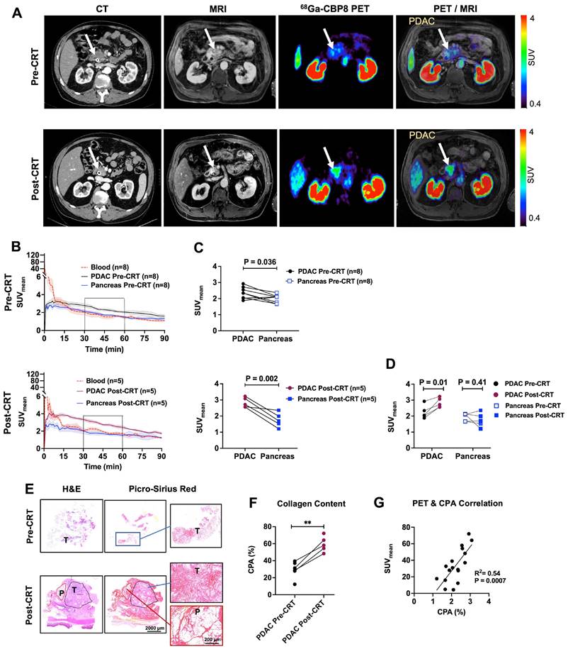 Theranostics Image
