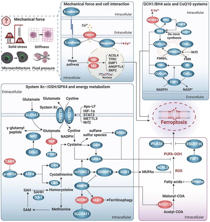 Theranostics Image