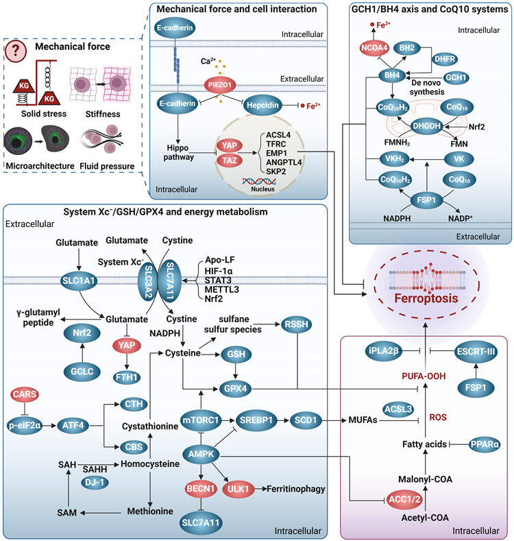 Theranostics Image