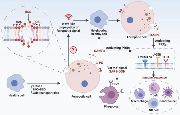 Theranostics Image