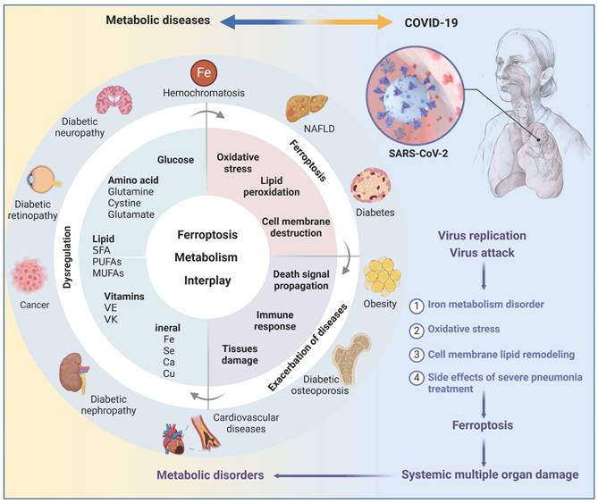 Theranostics Image