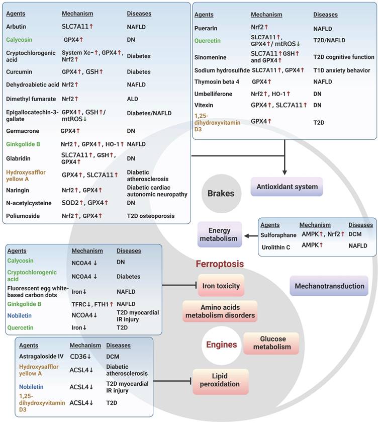 Theranostics Image