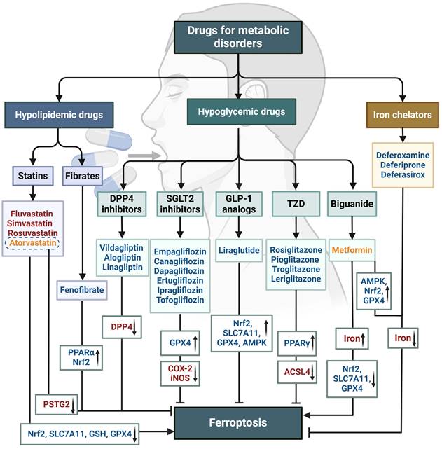 Theranostics Image