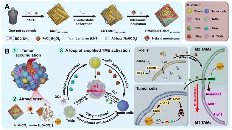 Theranostics Image