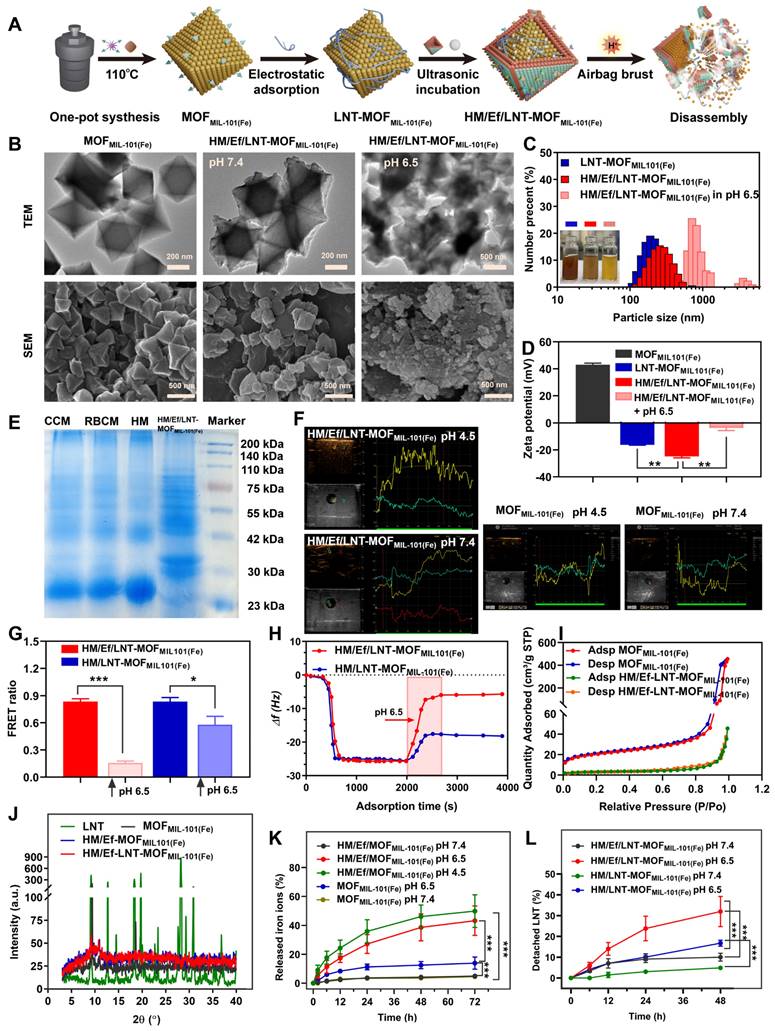 Theranostics Image