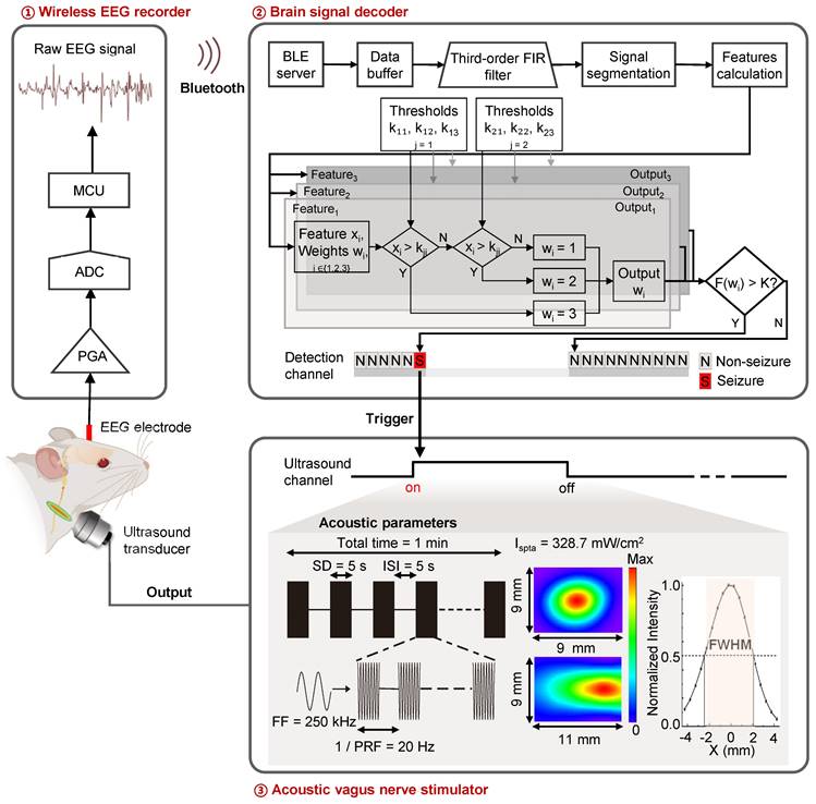 Theranostics Image