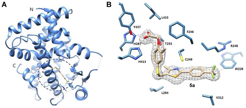 Theranostics Image