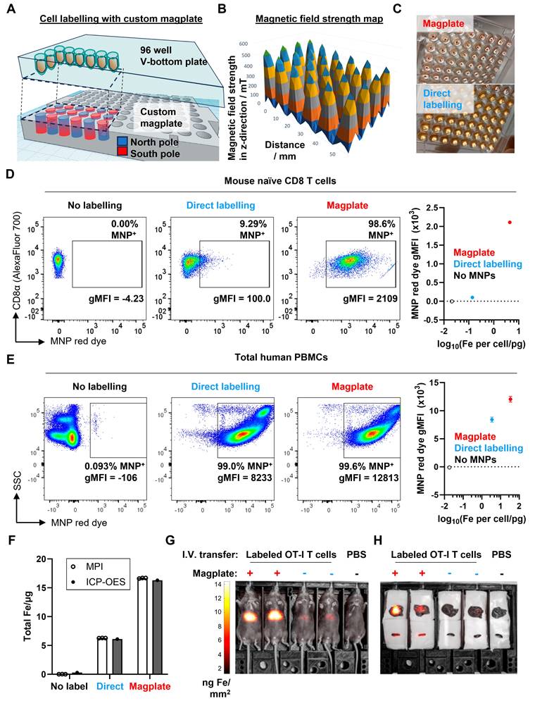 Theranostics Image