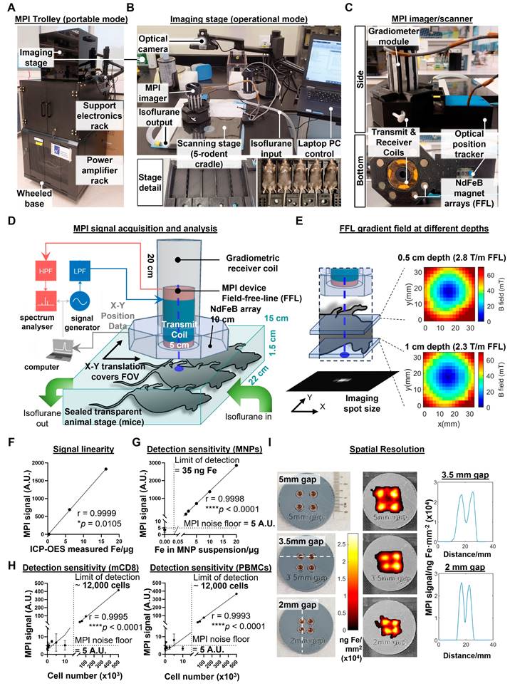 Theranostics Image