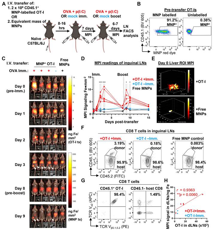 Theranostics Image