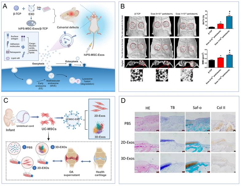 Theranostics Image