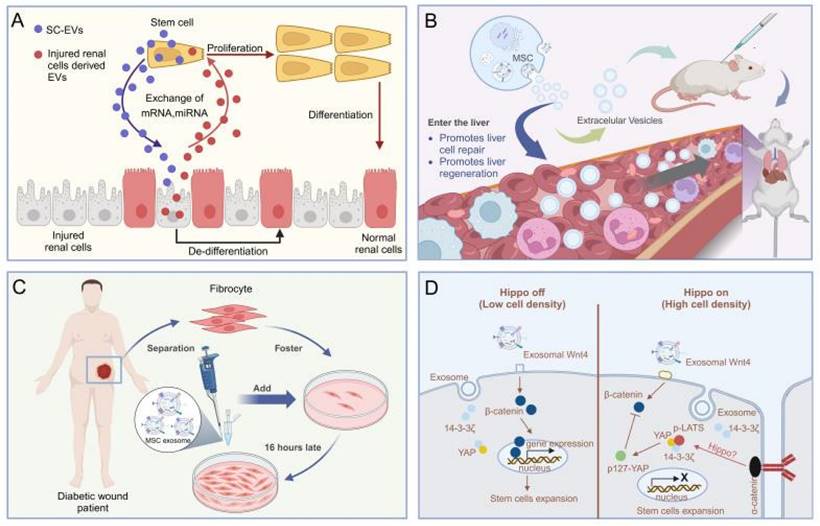 Theranostics Image