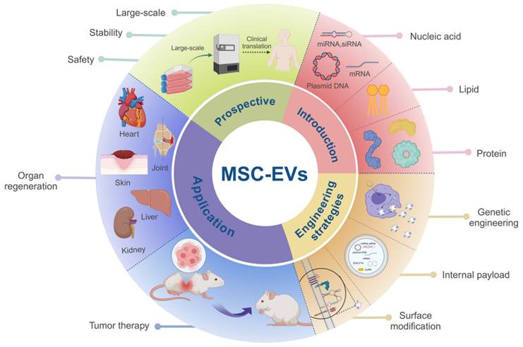 Theranostics Image