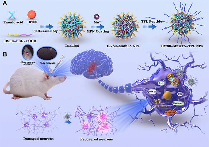 Theranostics Image