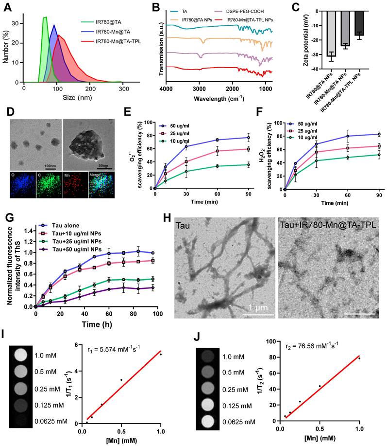 Theranostics Image