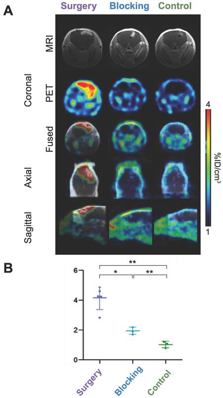 Theranostics Image